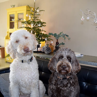 Fay en Skip bij de kerstboom