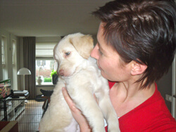 Puppy