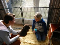 Puppy